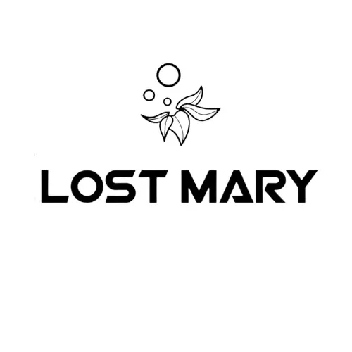 Lost Mary